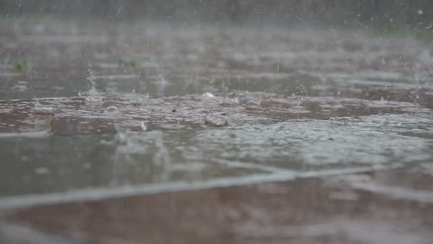 Raining Day Water Drops On Stock Footage Video 100 Royalty