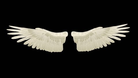 Wings Flap Loop Animation Transparent Background Stock Footage Video (100% Royalty-free) 1016392936 | Shutterstock Wings Flap Loop Animation Transparent Background Stock Footage Video (100% Royalty-free) 1016392936 | Shutterstock