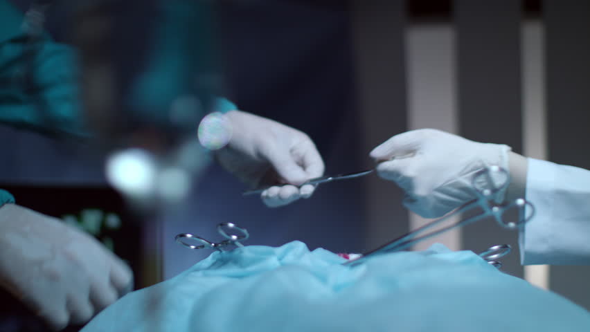 scalpel for surgery