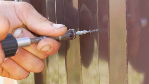 Hand Screwdriver And Screws Cut Into The Iron Sheet Metal Close View Men S Hands Repairing A Fence