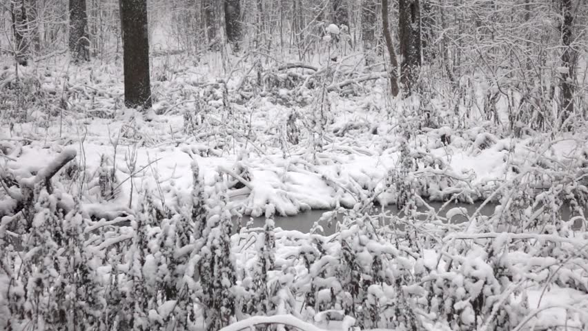 The snow fell. The snow fell