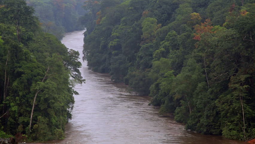 Floods After Tropical Rain In The Jungles Of Africa. Equatorial Guinea