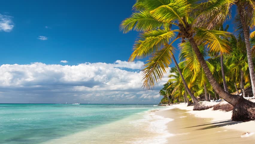 Caribbean Beach Landscape Stock Video Footage 4k And Hd Caribbean Beach Landscape Stock Video Footage 4k And Hd Clips Shutterstock