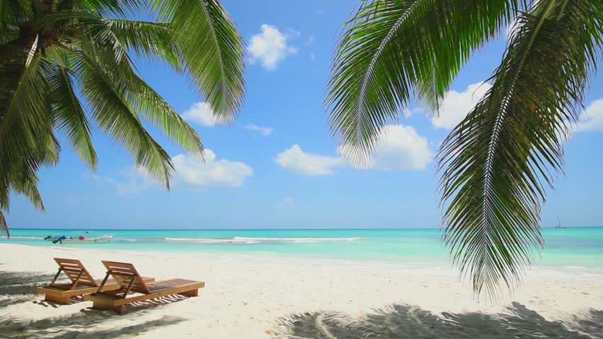 Blue ocean white sand beach nature tropical palms Island. Caribbean sea and sky. Small wild beach chairs. landscape Island. Palms turquoise sea background Atlantic ocean.