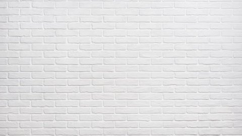 Plain White Background For Zoom / Solid Green Wallpaper (67+ images
