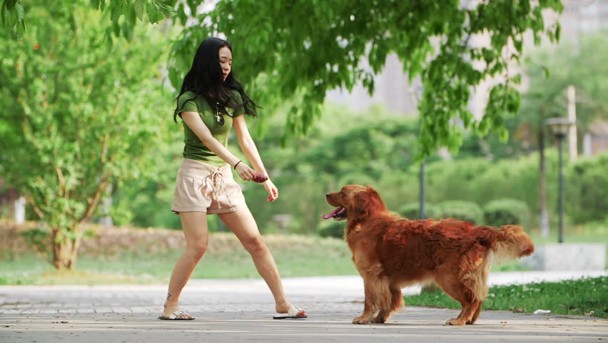 Pretty Long Hair Asian Woman Stockvideos Filmmaterial 100