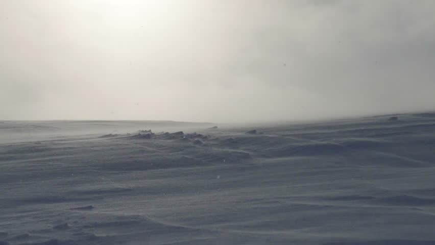 Very Windy Snowstorm in Northern Stock Footage Video (100% Royalty-free ...