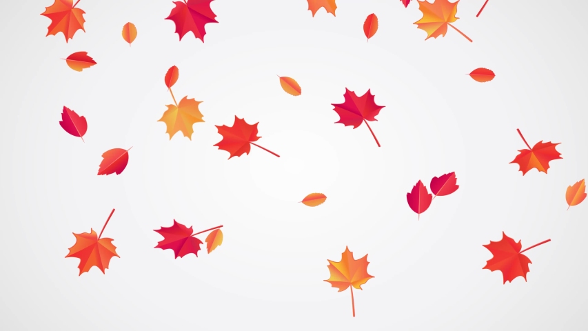 Falling Autumn Leaves Animation. Looped Stock Footage Video (100%