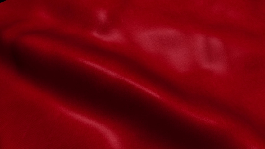 Waving Red  Flag  Background  Seamless Stock Footage Video 