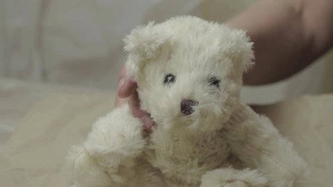 Scissors Cutting Fur In Slow Mo Stock Footage Video 100 Royalty