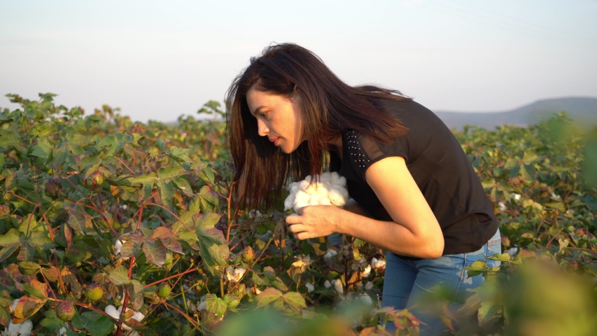 How Long Is A Cotton Picking Minute