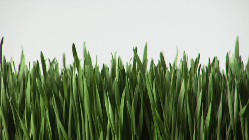 Header of wheatgrass