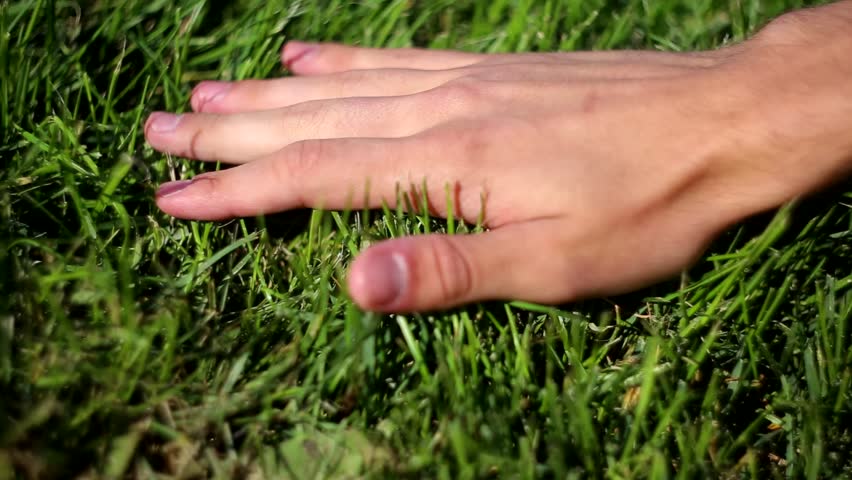 Hands grass. Hands grass