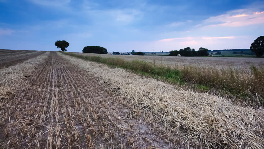 Stubble Field At Sunset Beautiful Stock Footage 100 Royalty Beautiful Stock Footage 100 Royalty Free 11237966 Shutterstock