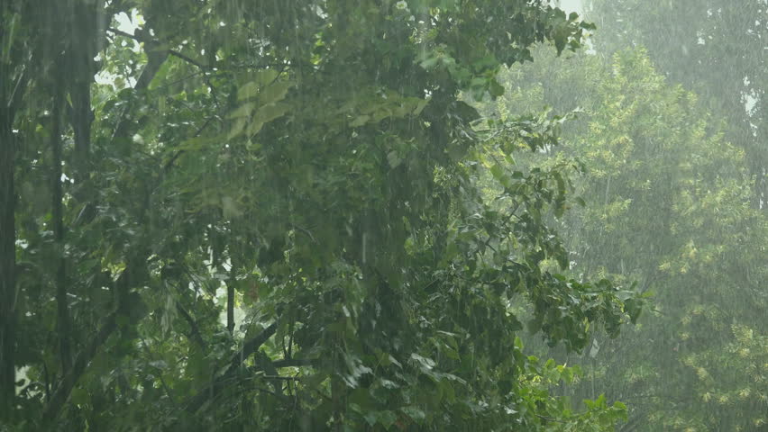 Rain Showers Weather Rain Showers Weather