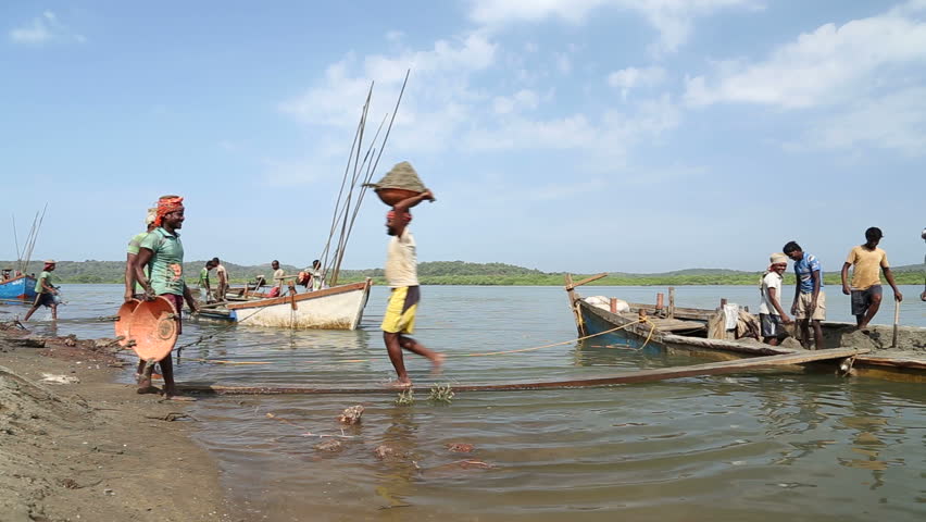 Harvesting Fish At Fish Farm. Teamwork Of Fishermen On The Commercial ...