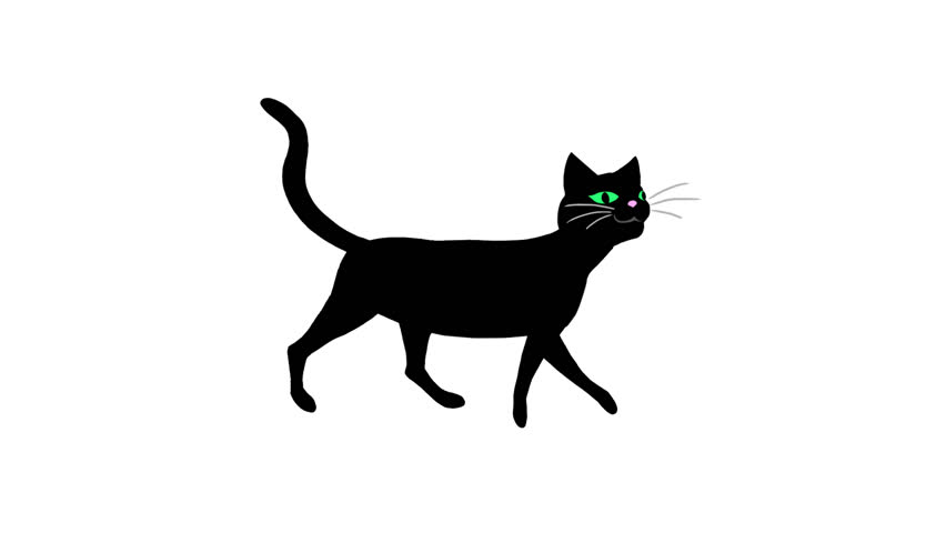 Stock Video Clip of Black Cat Walking.(Loop, Luma Matte) | Shutterstock