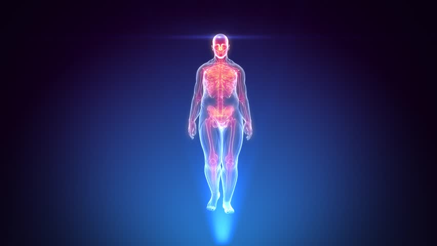 Fat Human Male Body Hologram Stock Footage Video (100% Royalty-free