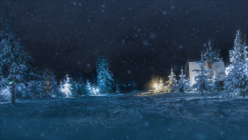 Snowy Forest Night Stock Footage Video | Shutterstock