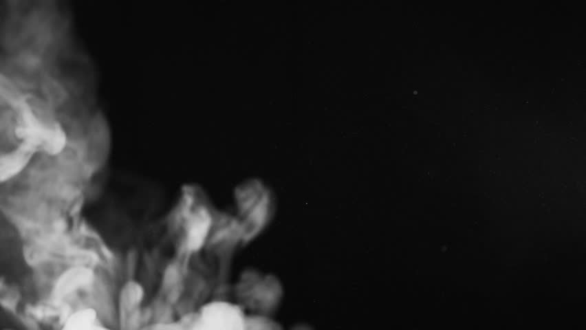 Header of veiny