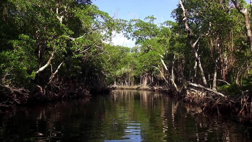 bio 100 florida national everglades Buy the complete 58 national parks in 51 surround sound on dvd: llectors-edition. bio 100 florida national everglades Buy the complete 58 national parks in 51 surround sound on dvd: llectors-edition.