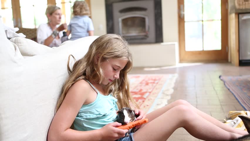 Stock Video Of Preteen Girl Holding Pet Hamster 13593836 Shutterstock