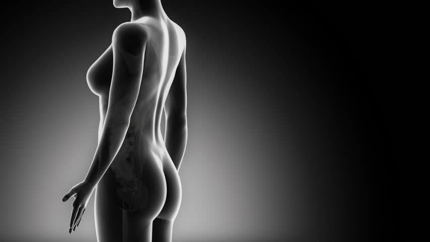 Female Biliary Anatomy Details Black Stock Footage Video 100 Royalty Free 1371526 Shutterstock Female Biliary Anatomy Details Black Stock Footage Video 100 Royalty Free 1371526 Shutterstock