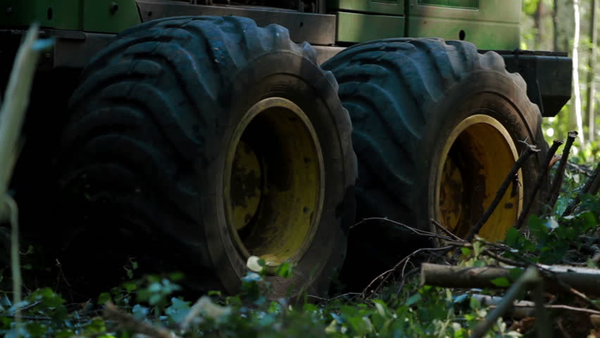 Header of feller