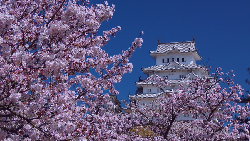 Himeji Castle And Cherry Blossom, Japan Stock Footage Video 14694685
