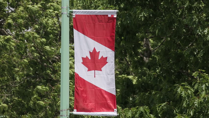 Vertical Canadian Flag Street Banner Stock Footage Video 100