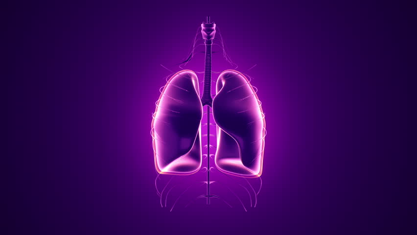 Abstract Background With Animation Of Rotation Realistic Human Lungs