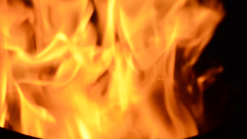 Burning Paper In The Fireplace Stock Footage Video 100 Royalty