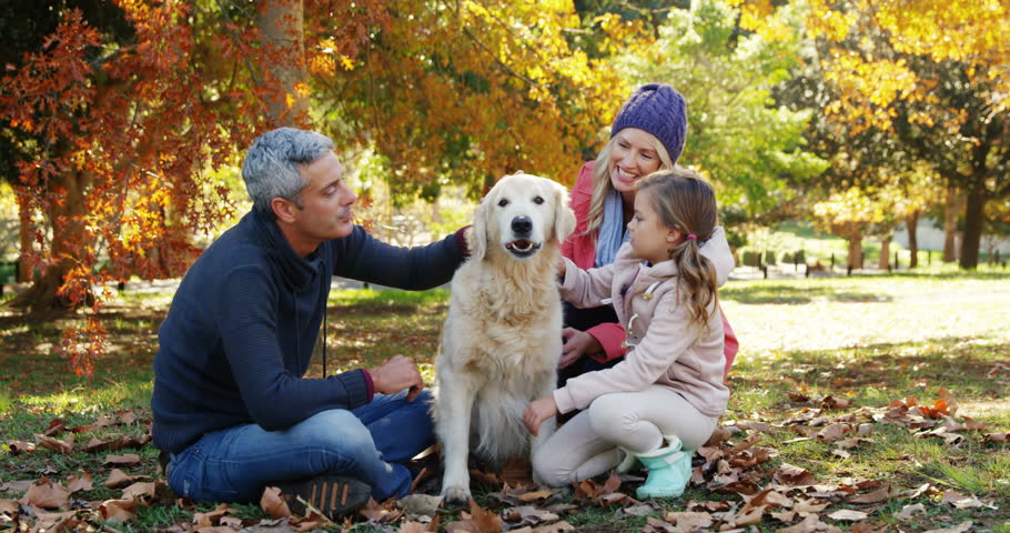 Stock Photo Family With Dog