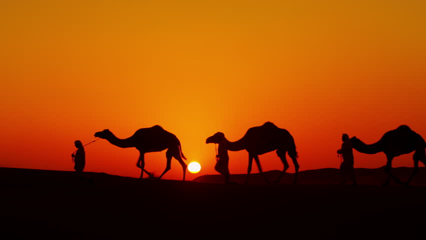 Camel Caravan At Sunset Stock Footage Video 26463281 | Shutterstock