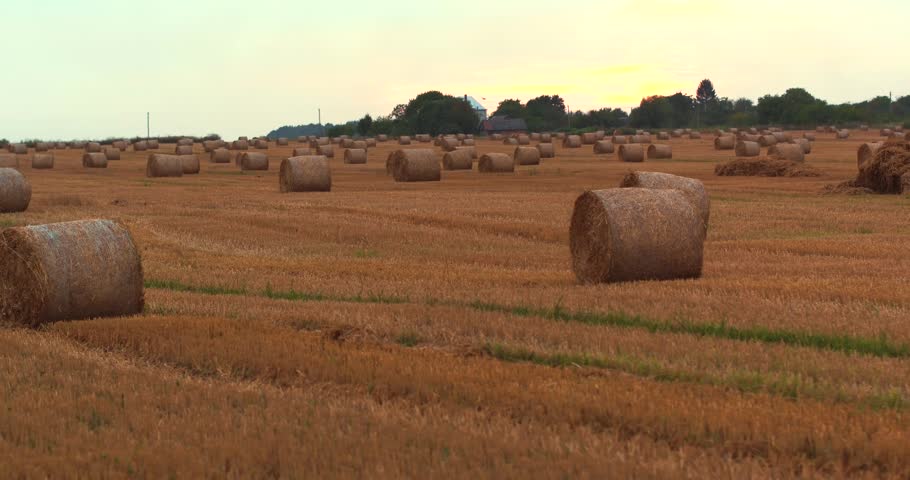 Hay Bales In A Field With Farm In The Distance. Heat Shimmer. Southern
