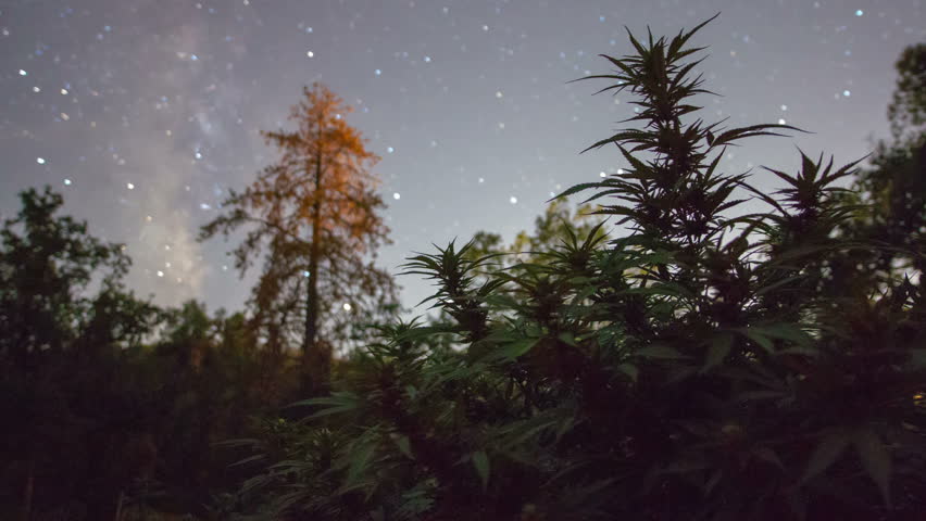 Header of control