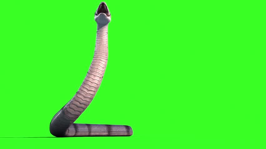 screen snake download