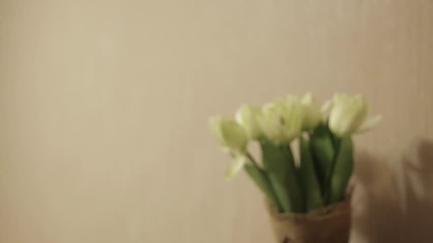Header of Mickey