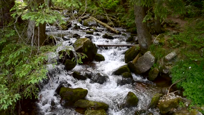 Mountain Stream In The Forest With Big Stones With Sound. Pond In A ...