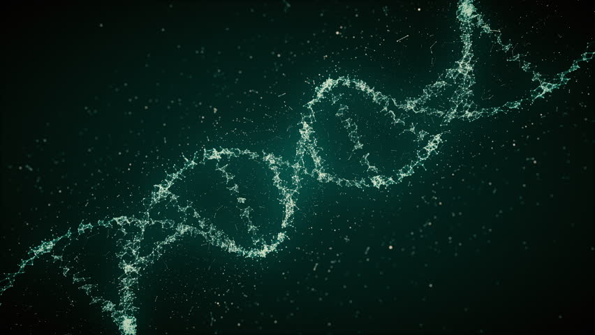 Looped Animated DNA Strand. Animation Of DNA Located Vertically ...