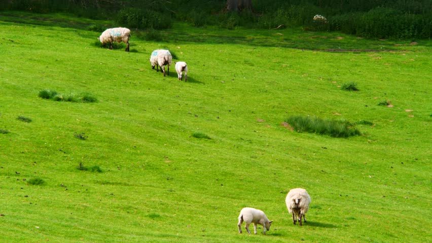 Header of Gloucestershire