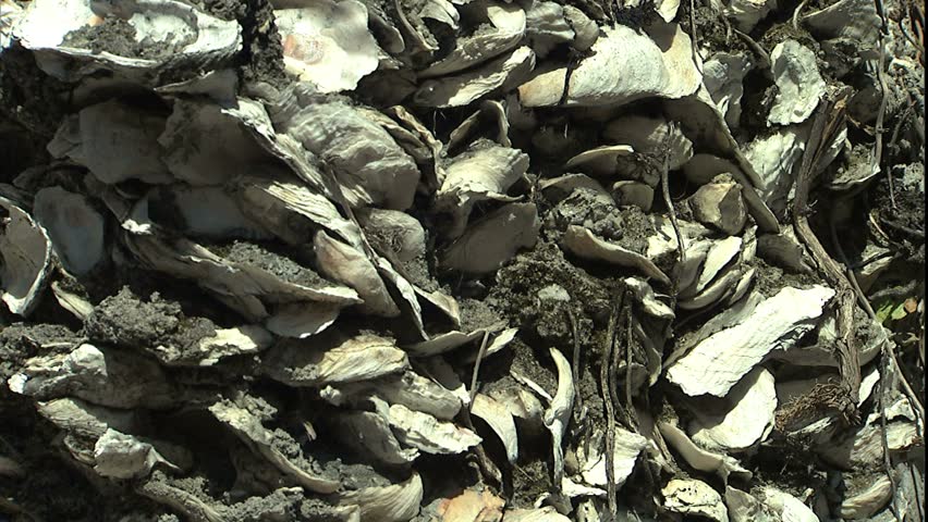 Header of clamshell