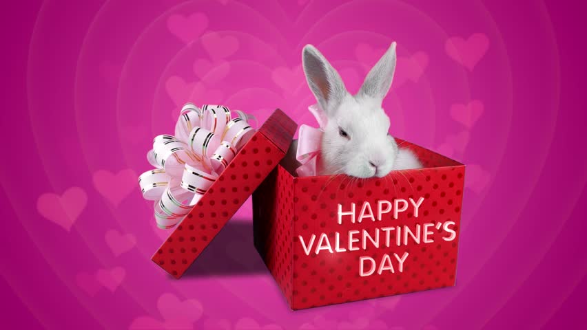 Happy Valentines Day Surprise, Falling Present Box With ...