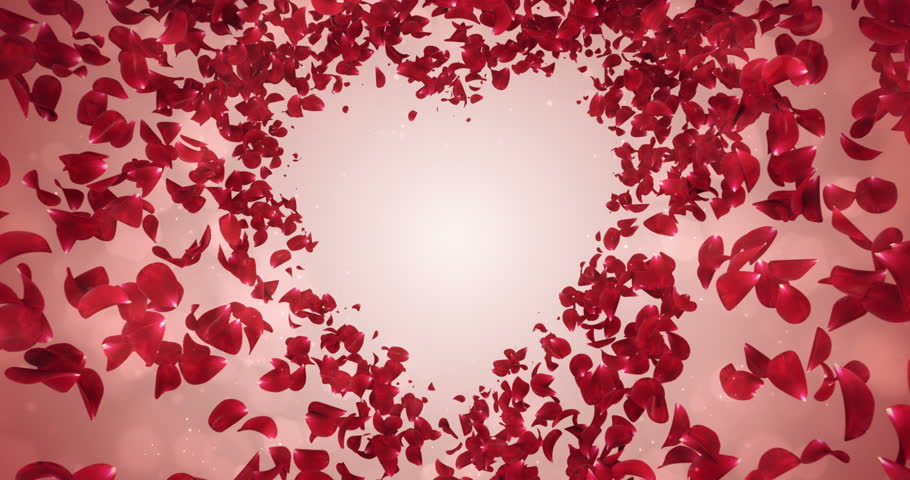 Image Result For Wedding Invitation Motion Image Result For Wedding Invitation Motion