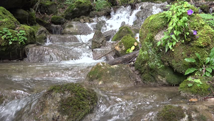 Japan videos stream 8