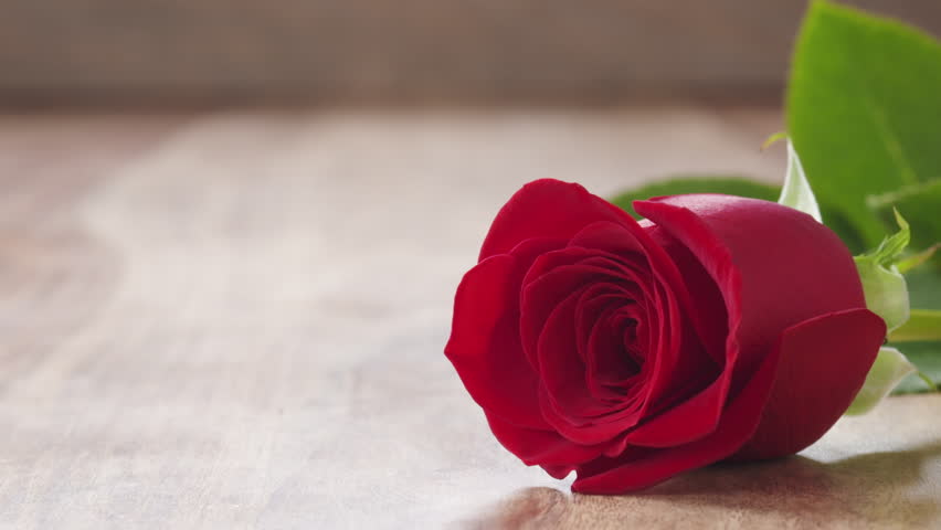 Diamond Spinning Beside Red Rose In Slow Motion Stock Footage Video ...