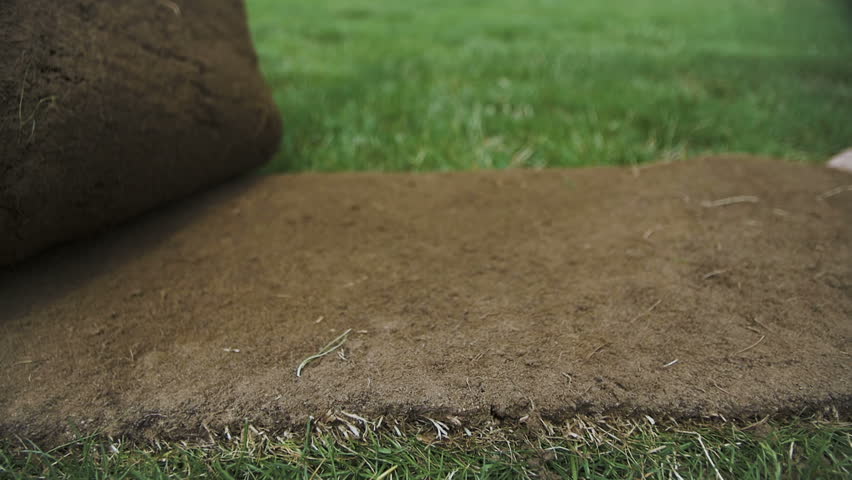 Header of sod