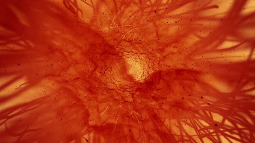 Header of inner