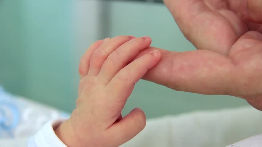 Header of maternity