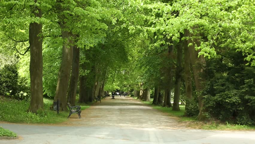 Header of Allee